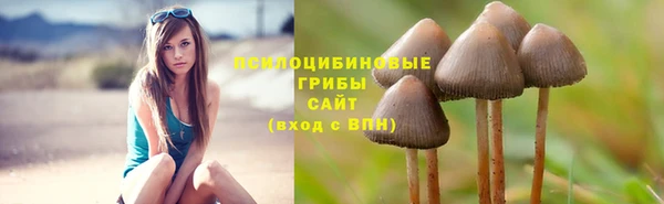 экстази Белокуриха