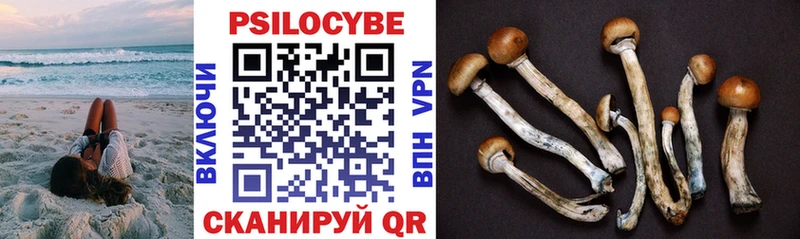 Галлюциногенные грибы Psilocybe  Кашира 