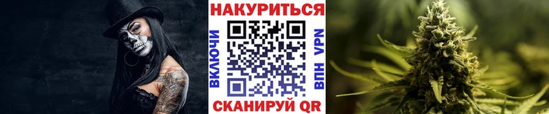 даркнет наркотические препараты Кашира Бошки марихуана THC 21% даркнет сайт